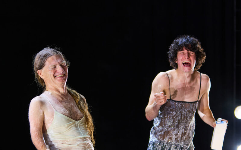 The Act of Existing: directed by the audience